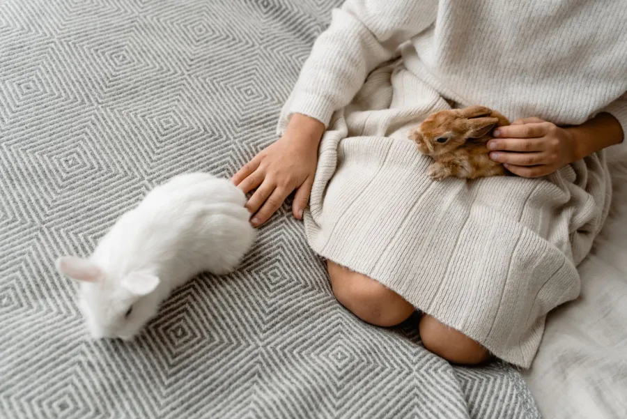 Kind aait twee konijnen op een kleed